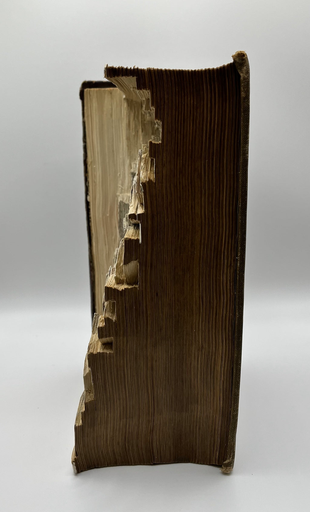 Mrs Beeton's Household Management Book Carving / Altered Book