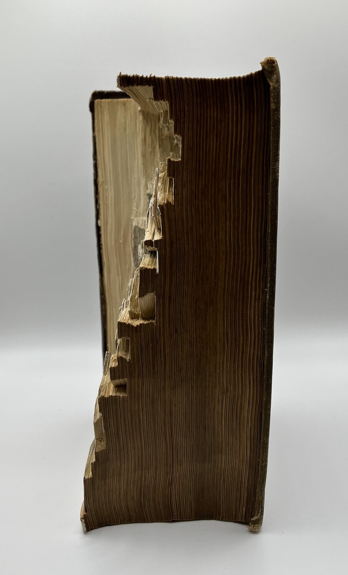 Mrs Beeton's Household Management Book Carving / Altered Book