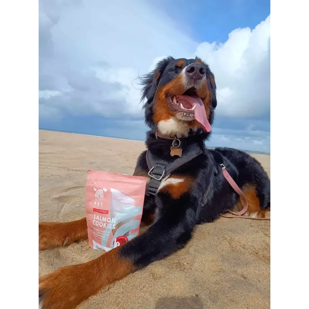 Natural Dog Treats – Cornish Salmon & Potato Biscuits by The Pets Larder (natural-cornish-salmon-potato-cookies)