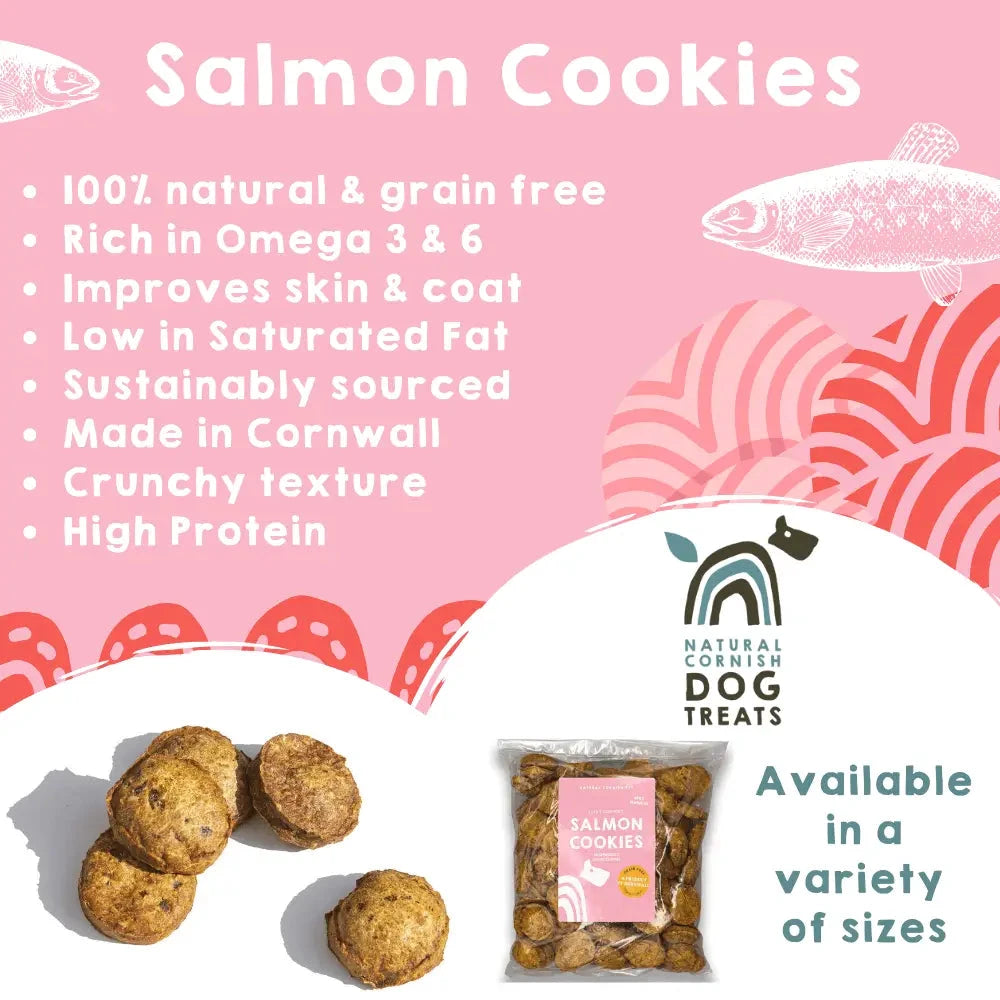 Natural Dog Treats – Cornish Salmon & Potato Biscuits by The Pets Larder (natural-cornish-salmon-potato-cookies)