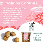 Natural Dog Treats – Cornish Salmon & Potato Biscuits by The Pets Larder (natural-cornish-salmon-potato-cookies)