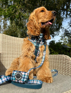 Tealing Smart Design Dog Bow Tie