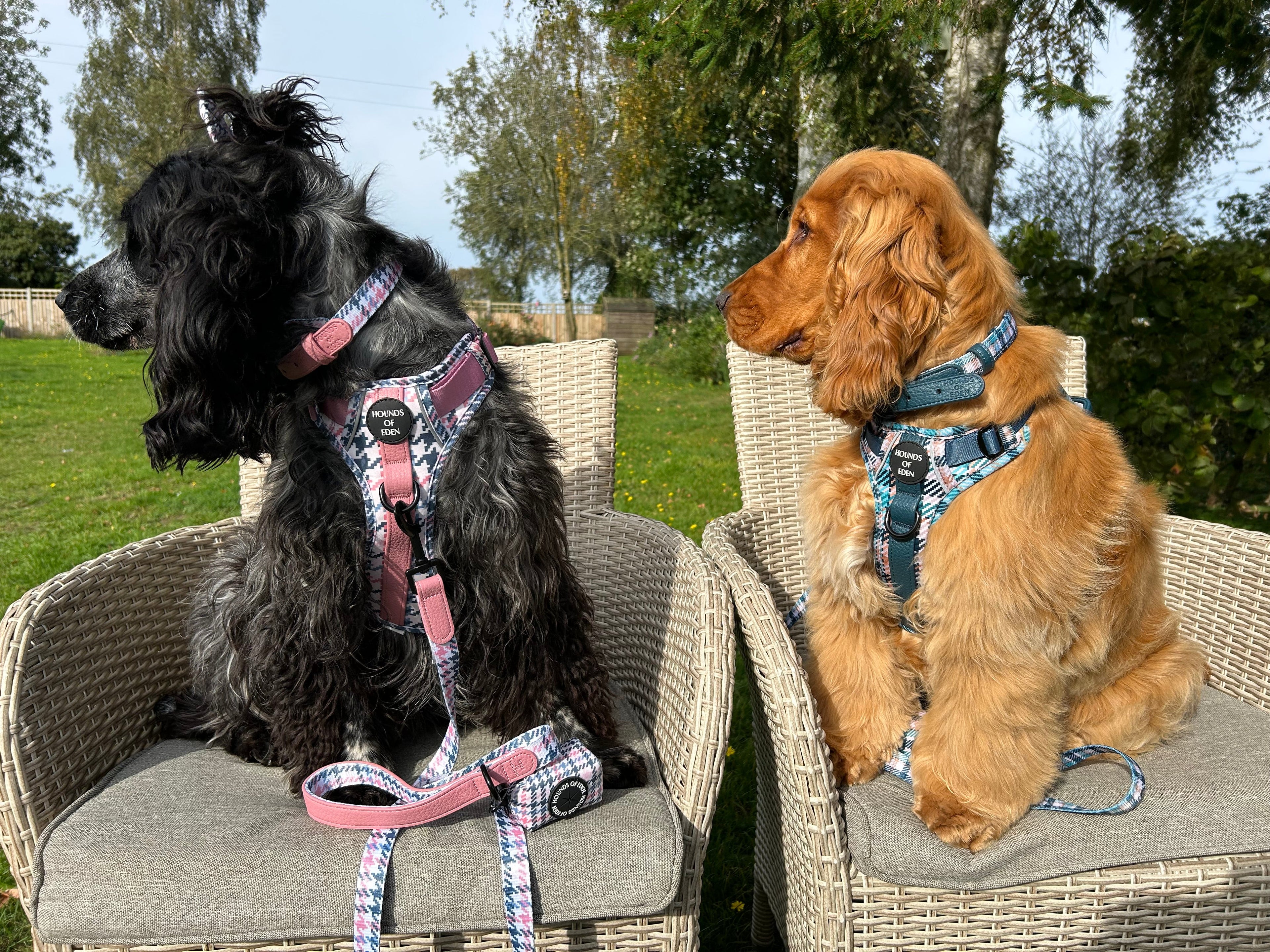 Pink Houndstooth Leather Dog Lead
