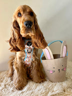 Bunny Tales - Blue, Dog Supaw Strong™ Lite Harness (XS-XL)