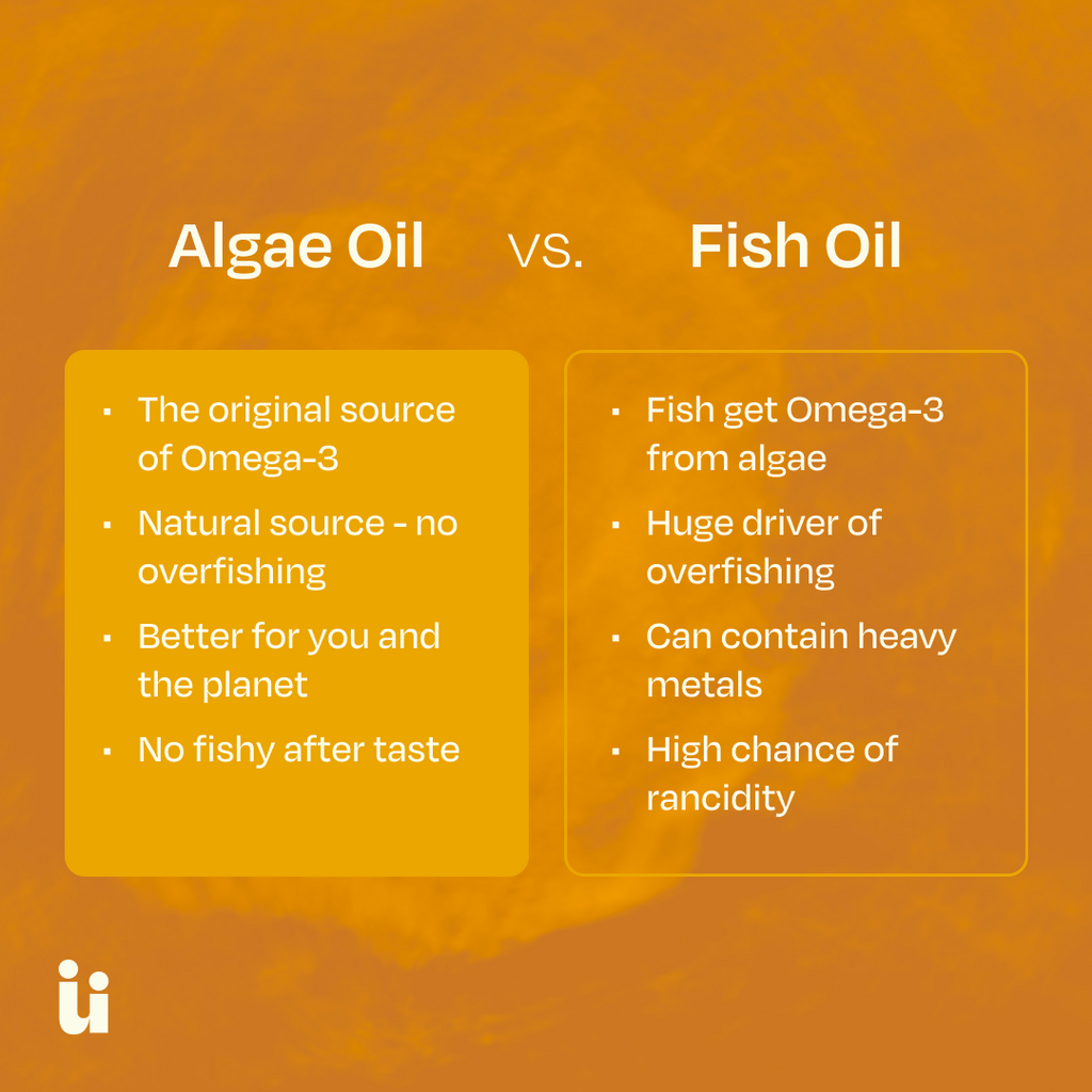Omega-3 Gummies