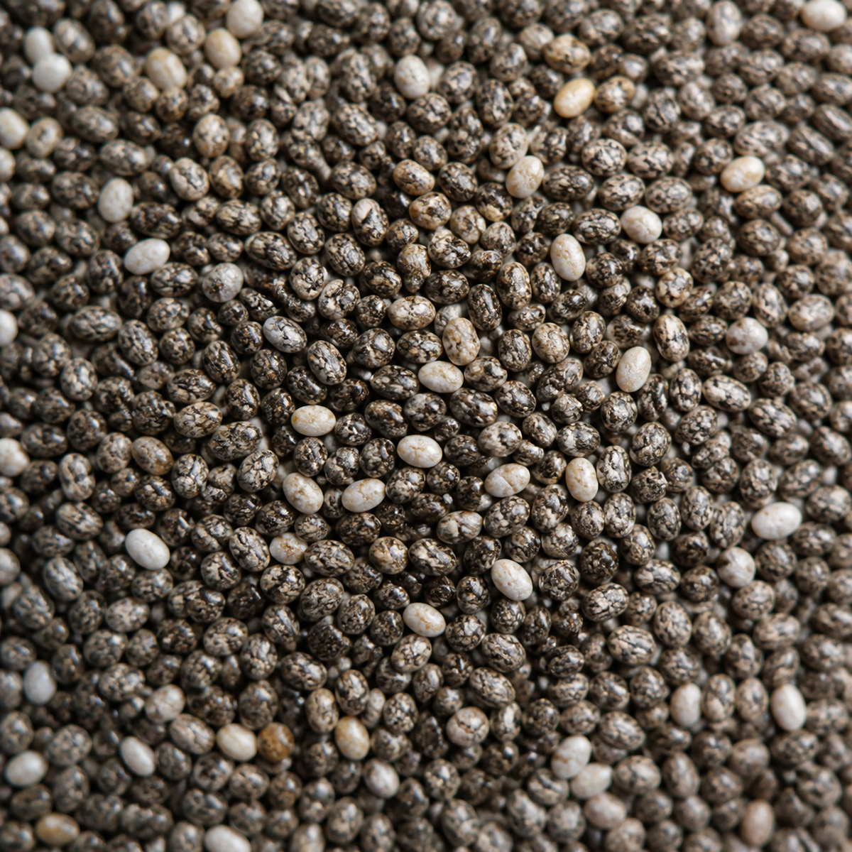 Infinity Foods Bulk Organic Chia Seeds