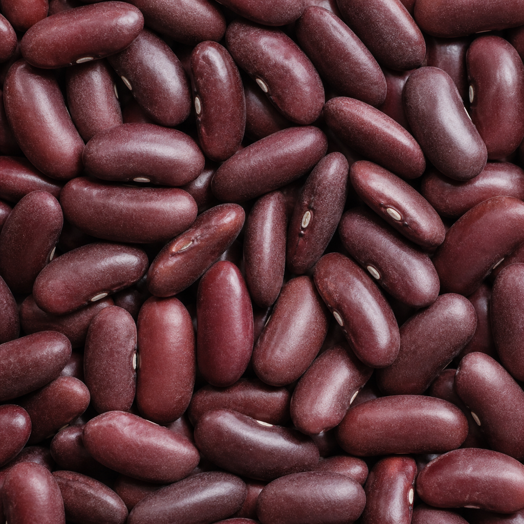 Infinity Foods Bulk Organic Red Kidney Bean