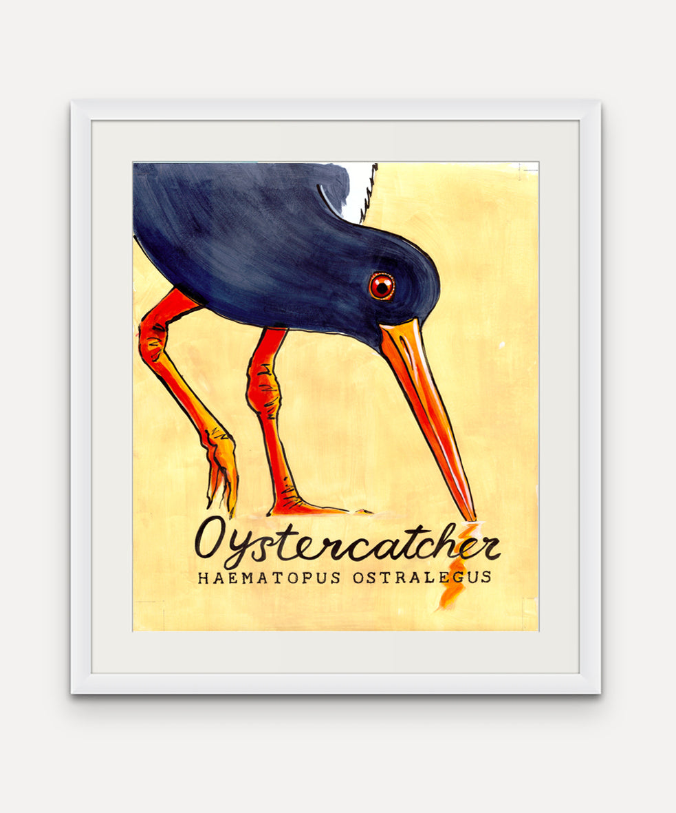 Oystercatcher  - Cornish Sea Life Series -  Giclée Print