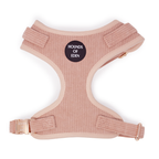 Peach Schnapps - Pink Corduroy Collar