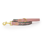 Bella's Jumper Dog Collar + Tag Holder