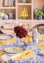 Zest for Life  Placemats x 4