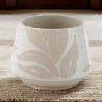 Hesperantha Detail Plant Pot