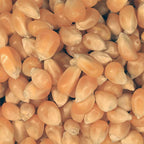 Infinity Foods Bulk Organic Popping Corn