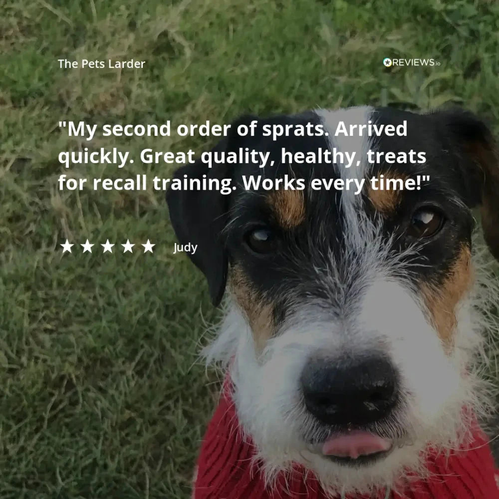 Natural Dog Chews – Rabbit Ear Without Fur Single Treat by The Pets Larder (rabbit-ear-without-fur-natural-meat-chew-for-dogs)