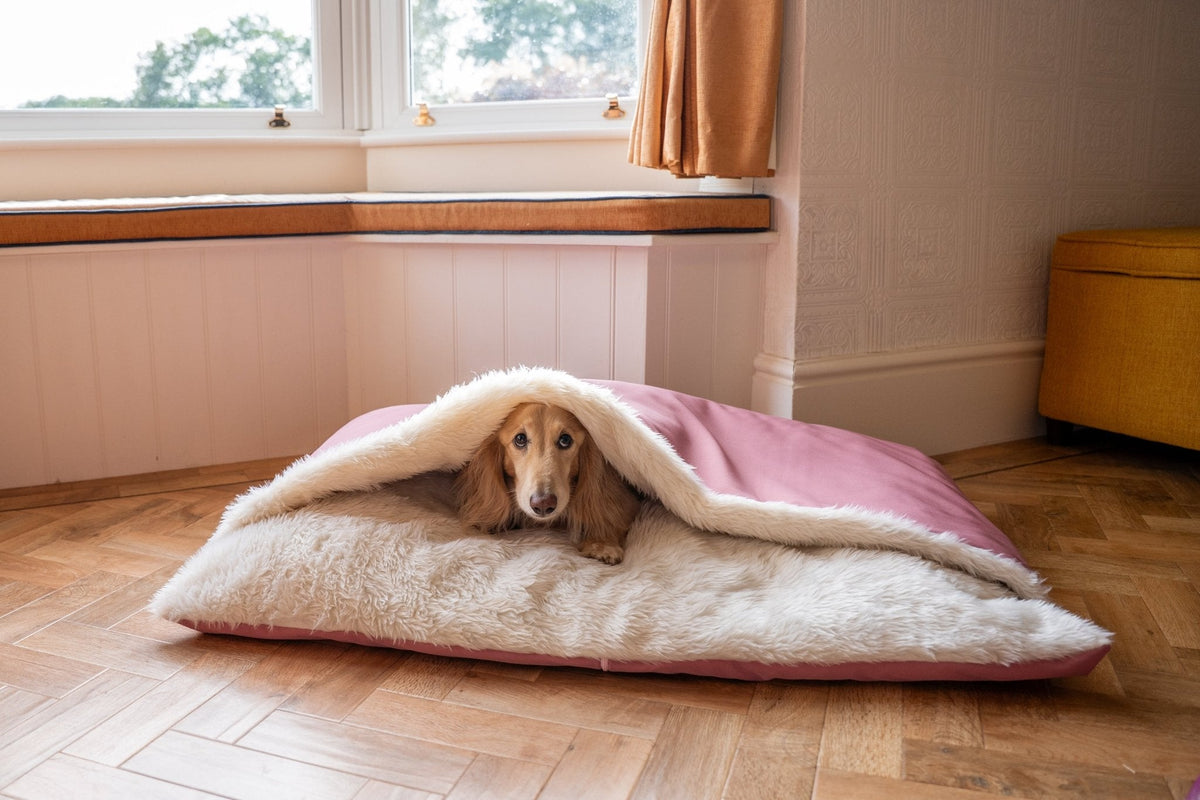 Rainfleece Personalised Waterproof Dog Den Bed