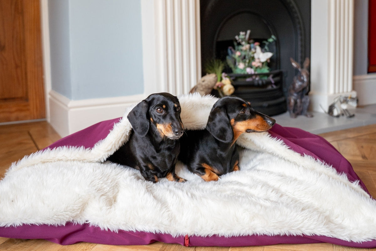 Rainfleece Personalised Waterproof Dog Den Bed