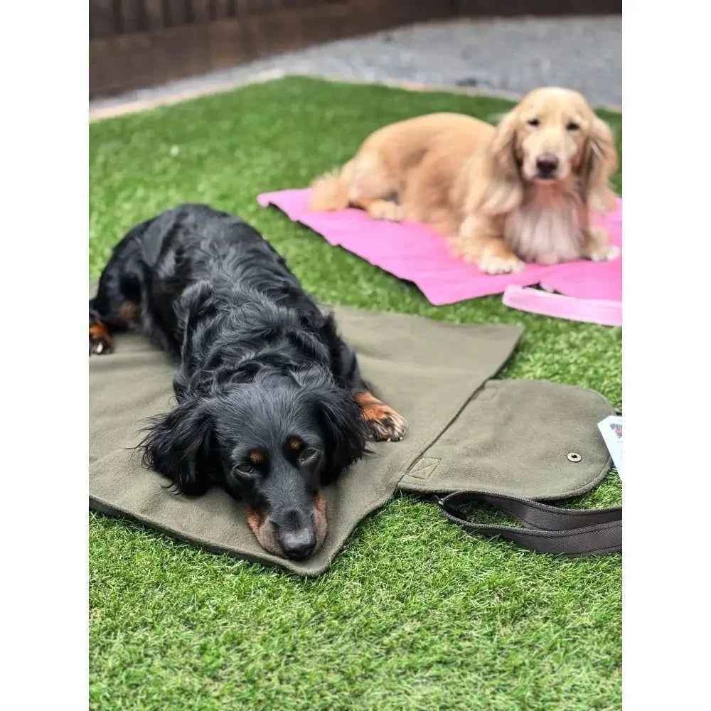 Rainfleece Waterproof Dog Walkies Mat - Core Collection