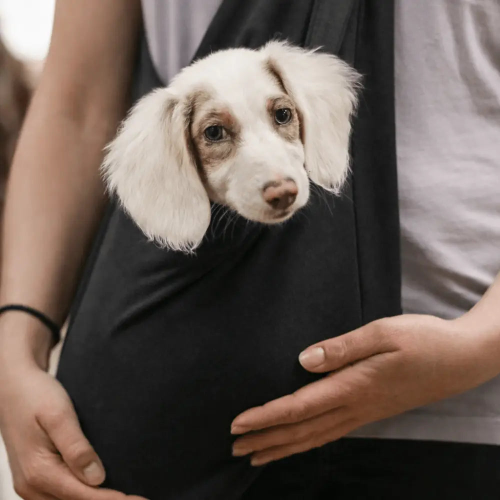 Lite Sweatshirt Dog Sling Carrier - Ready to Ship