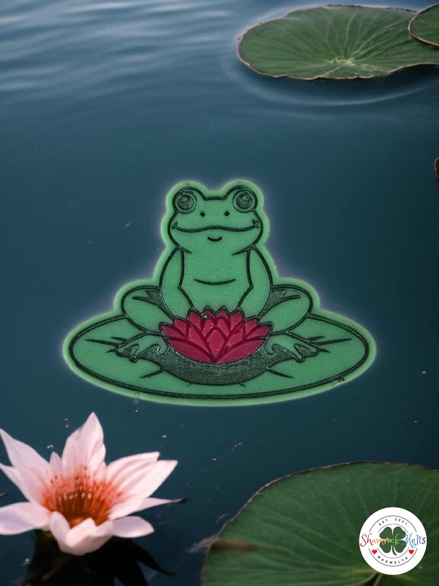 No Way I'm Kissing A Frog