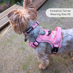 Rugged Rover™ Harness - Peachy Hearts
