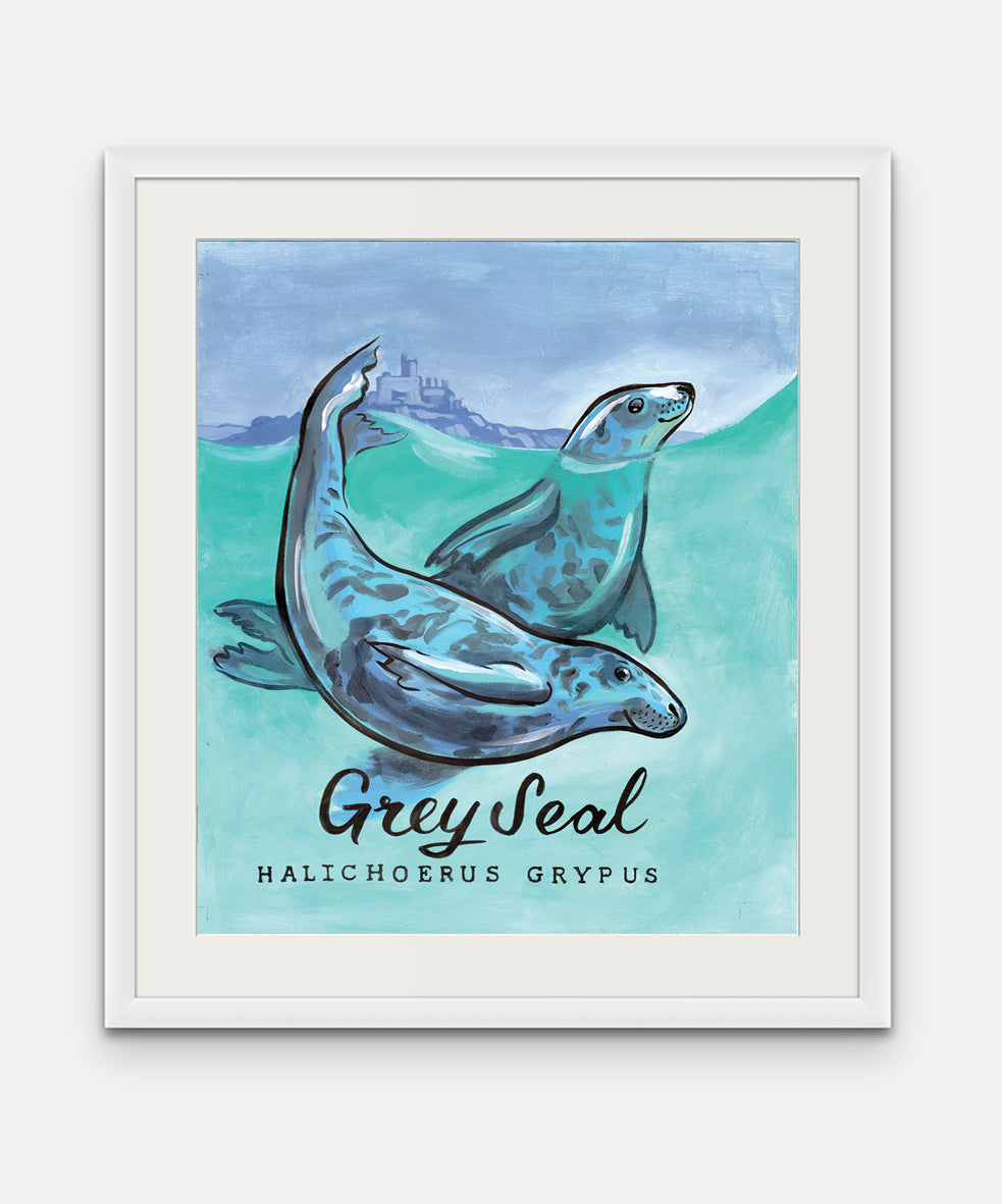 Grey Seal  - Mounts Bay Sea Life Series - Giclée Print