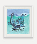 Grey Seal  - Mounts Bay Sea Life Series - Giclée Print
