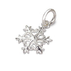 Snowflake Silver Charm