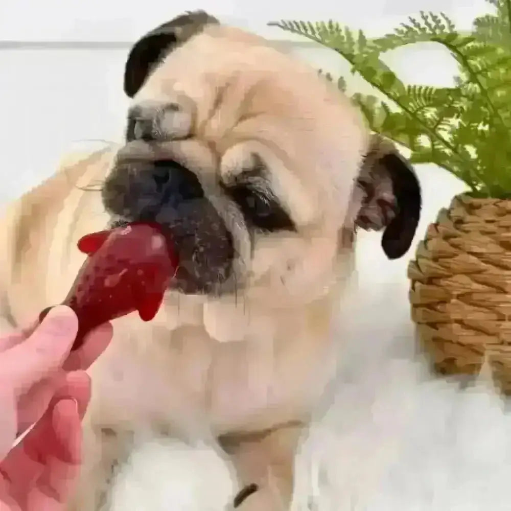 Strawberry & Banana Dolphin Dog Chew