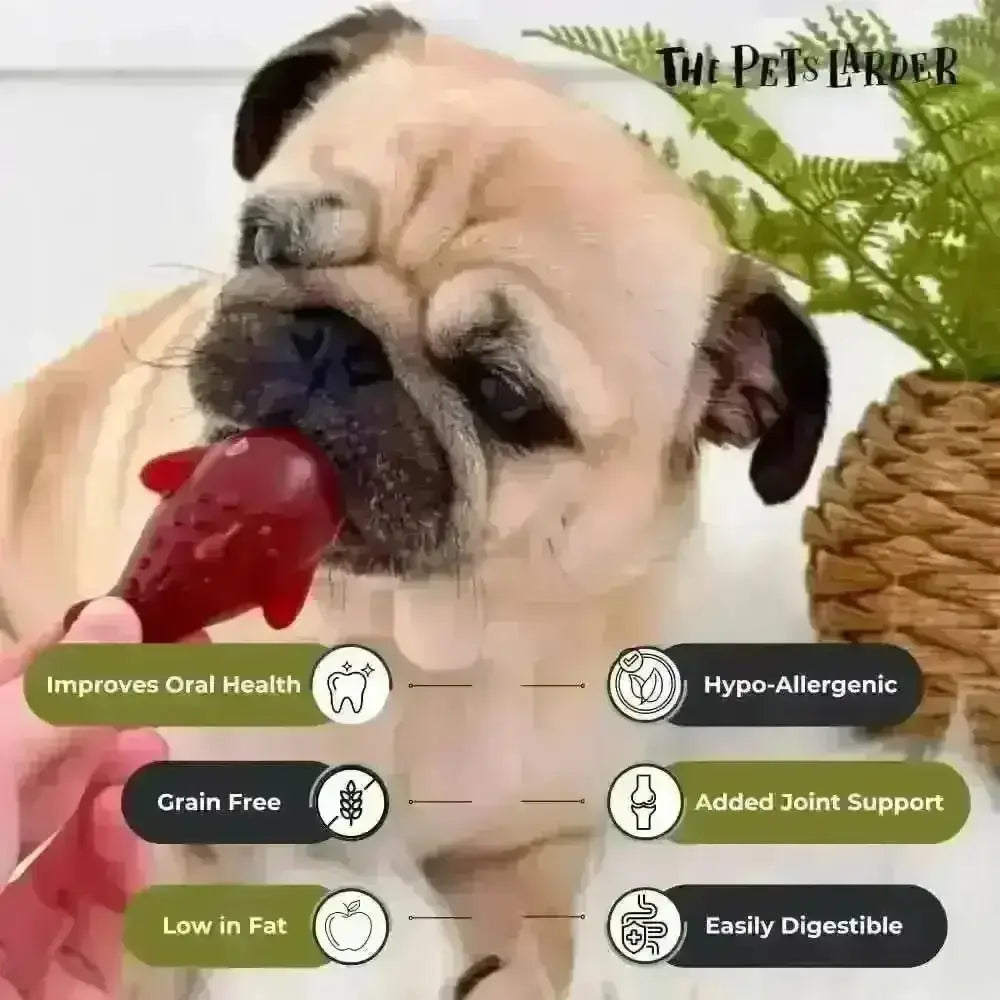Strawberry & Banana Dolphin Dog Chew