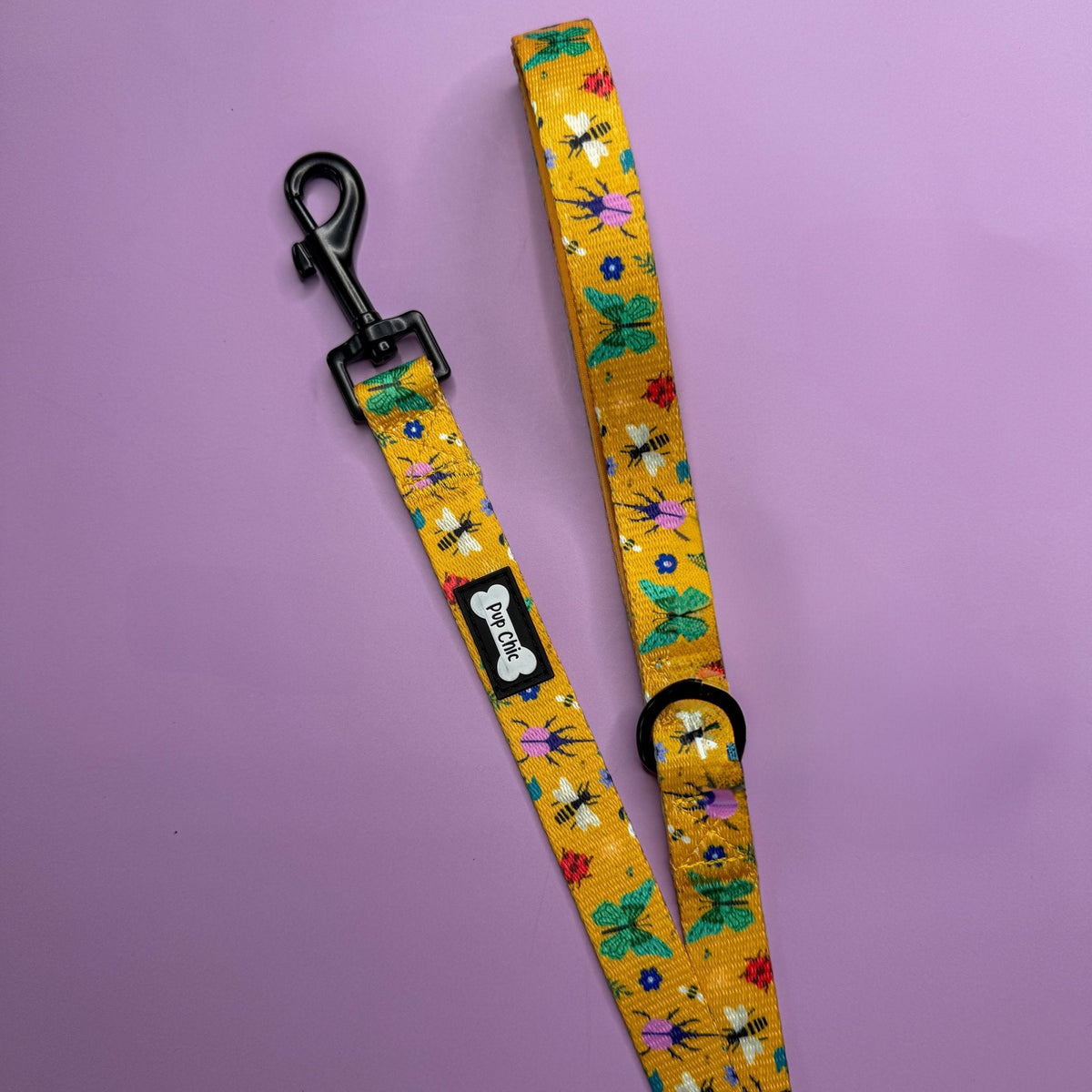 Summer Buzzin’ 5ft dog lead