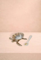 New Born Turtle Salt Cellar and Pepper Pots with Spoons - Pair