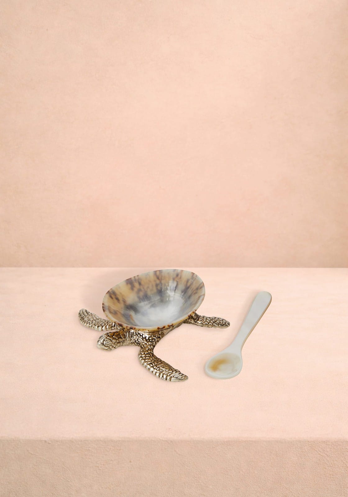 New Born Turtle Salt Cellar and Pepper Pots with Spoons - Pair