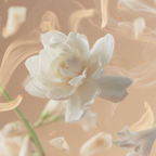 Tallulahs Camellia Fragrance 100ml