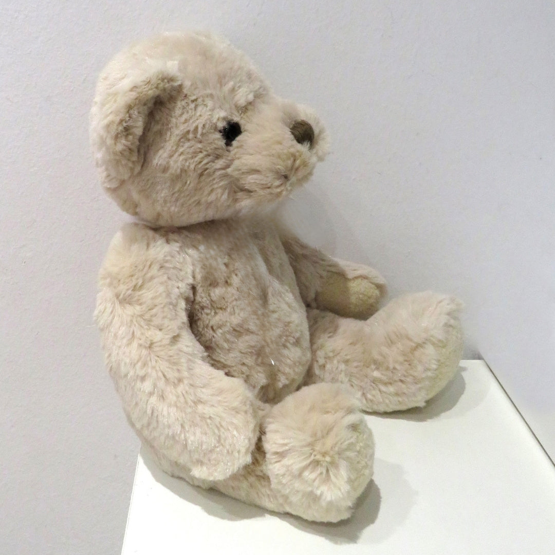 Personalised Teddy Bear with Little Sister T-Shirt