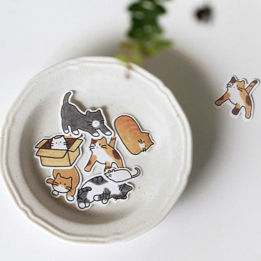 Suatelier | Cat!