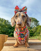 Retro Bloom Dog Harness (XXS & XS)