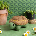 Tortoise Needle Felting Kit for Beginners