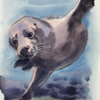 Wild Swimmer Andrea - Cornish Sea Life -  Print