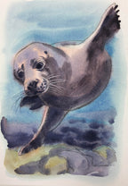 Wild Swimmer Andrea - Cornish Sea Life -  Print