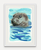 Grey Seal Sighting - Giclée Watercolour Print