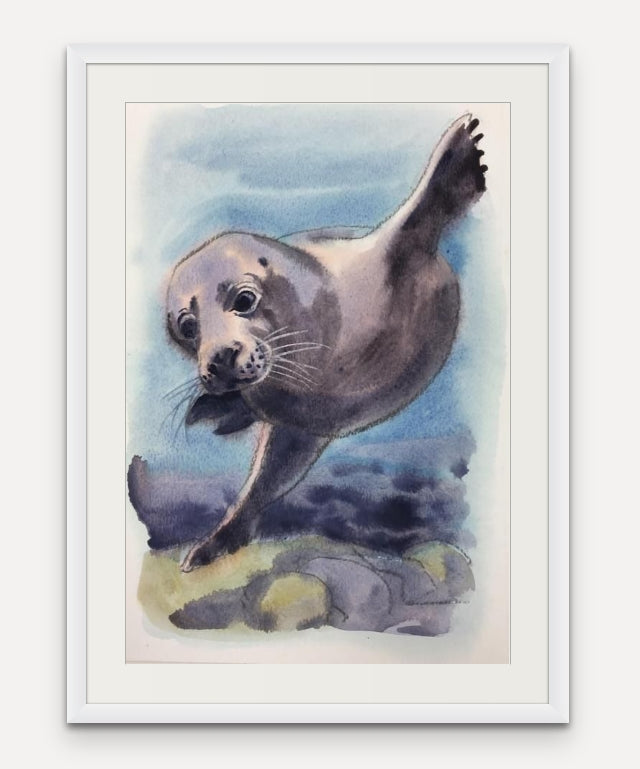 Underwater Seal - Cornish Sea life series - Giclée Watercolour Print