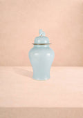 Mint Porcelain Jar