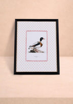 Duck IV Framed Print- The Prettiest By Far