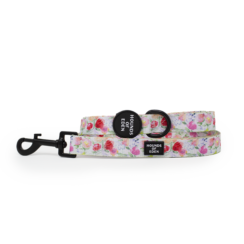 Ziggy's Secret Garden Design Dog Collar