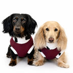 Waterproof Rainfleece Dog Coat - Core Collection