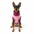 Waterproof Rainfleece Dog Coat - Core Collection