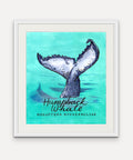 Humpback Whale  - Cornish Sea Life series -  Giclée Print