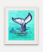 Humpback Whale  - Cornish Sea Life series -  Giclée Print