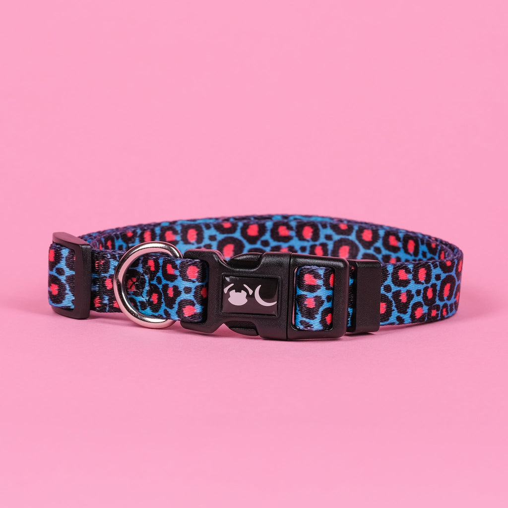 The Willow Dog Collar